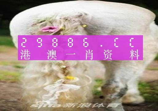 澳门一肖一码100准202ⅰ,专科解答解释落实_演变版87.25.80