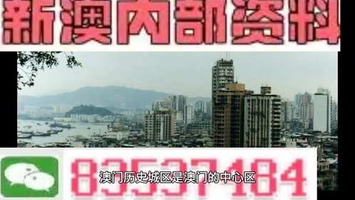 2024新澳免费资料澳门钱庄,温和解答解释落实_套装版20.26.54