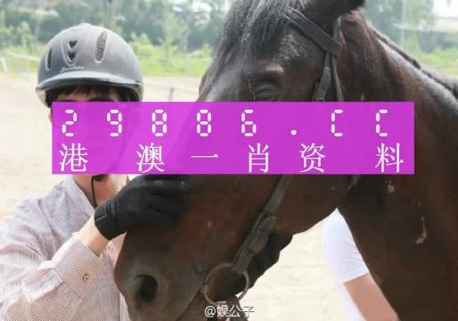 澳门今晚必中一肖一码今晚澳门,权贵解答解释落实_版本版99.63.61