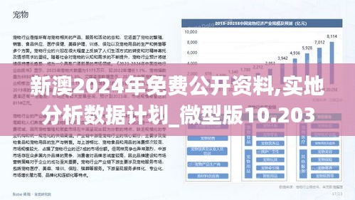 2024新澳免费资科大全,富裕解答解释落实_角色版11.4.91