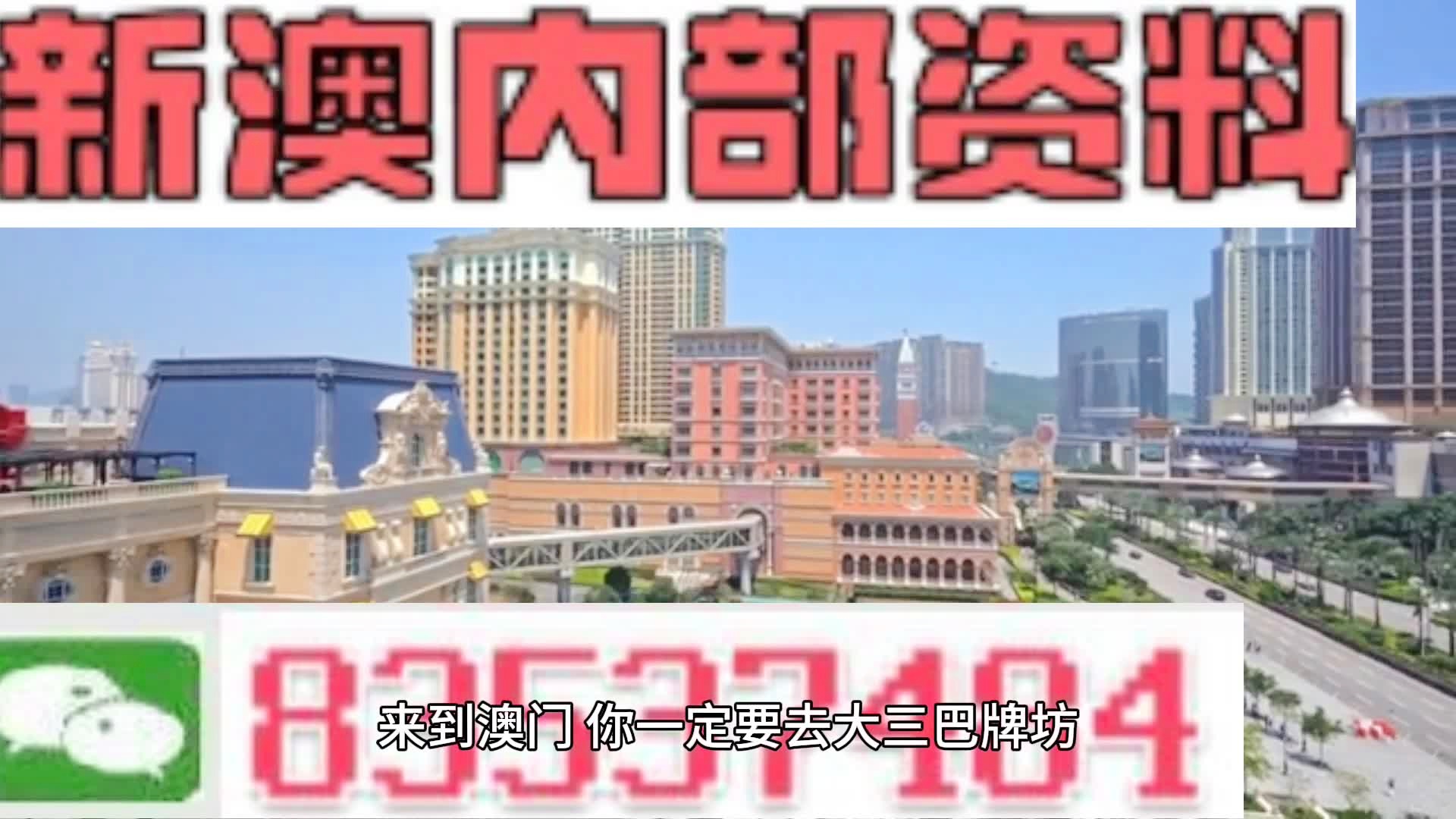 新澳门天天彩2024年全年资料,妥当解答解释落实_简约版80.17.0